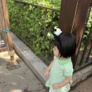 소로르 베이비 네이버블로그