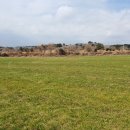 제주신공항부동산공인중개사사무소 이미지