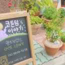 코튼맘'S이야기