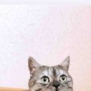 구암동289 이미지