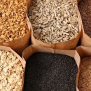 무지개간식 이미지