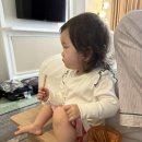 [하나투어 패키지여행 ] 22개월 아기랑 첫 해외여행! (인도네시아 마나도 3박5일)
