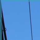 김영조피부과의원 이미지