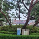 의료법인 석영의료재단 이미지