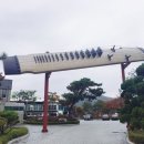 첼로와 거문고 네이버블로그