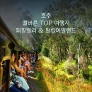 호주여행 | 멜버른투어 TOP 2 | 퍼핑빌리, 필립아일랜드