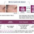 건조한 가을 펩타이드 아이크림으로 이겨내기 이미지