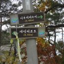 이화산등산로 Daum카페