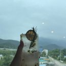 설악산 전경이 한눈에 보이는 속초 카페 추천 카페너래 밤식빵에 너래라떼 먹고 온 후기