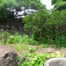 동광리-4 이미지