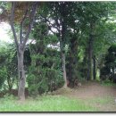 영산강장어 이미지