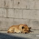 햇살가득주유소 이미지