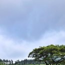 인경목장 이미지