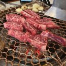 강동갈빗살 이미지