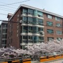 그린아파트 A동 이미지