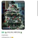 슈퍼파슬리 이미지