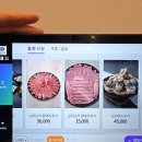 월령 | 제주 한림읍 맛집 | "월령식당" 솔직후기 제주몸국, 한치부추전, 제주몸국, 백년초주