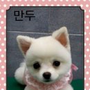 깍까독 이미지