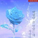 모모라임 이미지