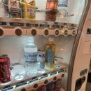 산드리아 | [호주] 시드니 알렉산드리아 빈티지 골동품샵/ 더 그랜드 오브 알렌산드리아 방문 후기