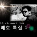 배호 -총 6부작 및 특집 이미지