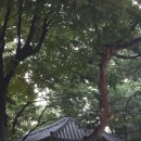 원학동공원 | [그냥 결혼 일기] 웨딩 스튜디오 앤드류권 후기(사전 미팅/촬영 시안/촬영)