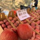 영광보건소②게시대 | 영주 가볼만한곳/먹거리(부석사, 무섬마을, 나드리 등 12곳)