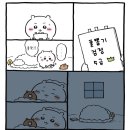 합격뽑기 네이버블로그