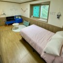 울릉대박펜션 이미지