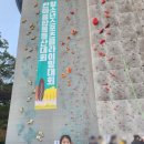 용인대서울태권도장 | 보문동 클라이밍 대회 체험후기, 태권도장이 만든 실력