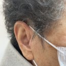 효자보청기 | 와이덱스보청기 춘천점에서 할머니께 제대로 효자 노릇하고 온 후기