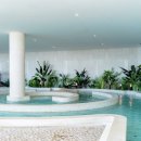 소노펠리체 델피노 이미지