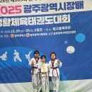 호반태권도 | 🥋 2025 광주광역시장배 생활체육 태권도 품새대회