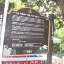다솔사길 네이버블로그