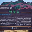 갈산리석불입상 | 이천 산수유둘레길 후기 (23.03.21)