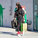 윌리스펫 이미지