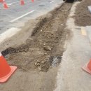 세종그랑시아 1차 앞 횡단보도 | 아스팔트부분포장 도로바닥보수 공사