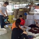 이영식농장 이미지