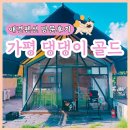 가평 개별운동장 있는 애견펜션, 가평 댕댕이 애견펜션 골드 방문 솔직후기