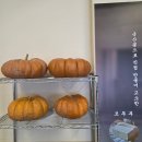 만두마을 | 영종 하늘도시 맛집 영종손두부마을 만두전골 솔직후기