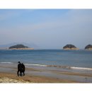 몽돌 이미지