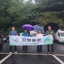 제753차 야간산행 앞산큰골(5월21일 목요일) 이미지