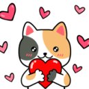 심바스튜디오 이미지