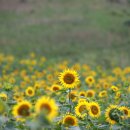 엄마요양병원 이미지