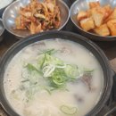 [충북 괴산] 쌍곡예당야영장 후기, 쌍곡계곡 근처 캠핑 여행