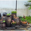 스테이라온펜션 이미지