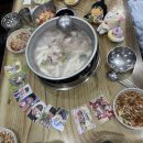 자유롭게 날아올라 더 새롭게