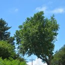 남해-240 이미지