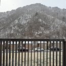 도리2리 이미지