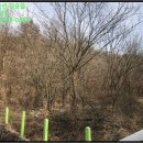 지방도905호선1 이미지